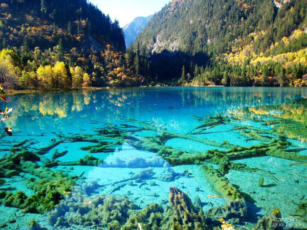 Crystalline Turquoise Lake – Jiuzhaigou National Park – China
